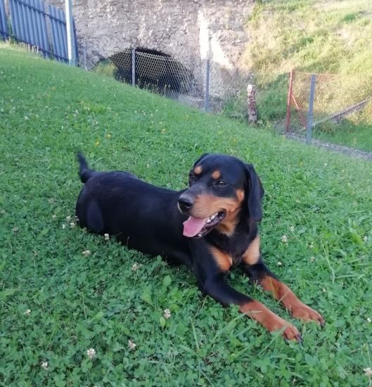 Moja Ella