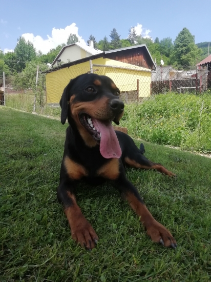 Ella
