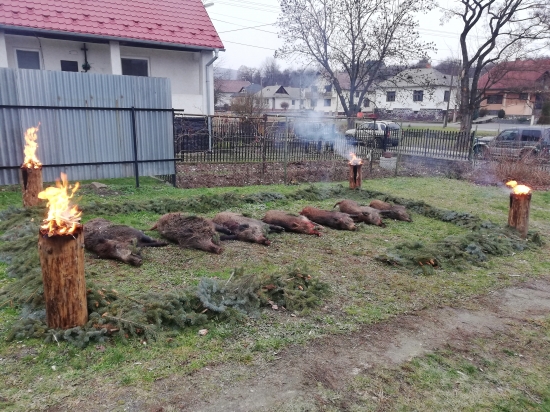 Dalsi uspesny vydareny den na Spolocnej-vyrad