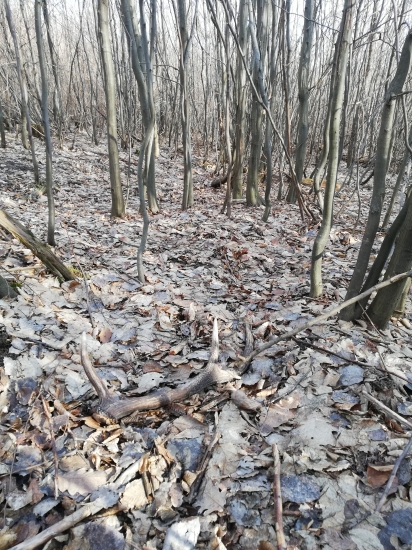 Minulorocny sestoracik