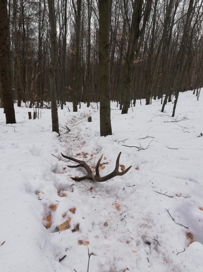 Len tak si tam lezal