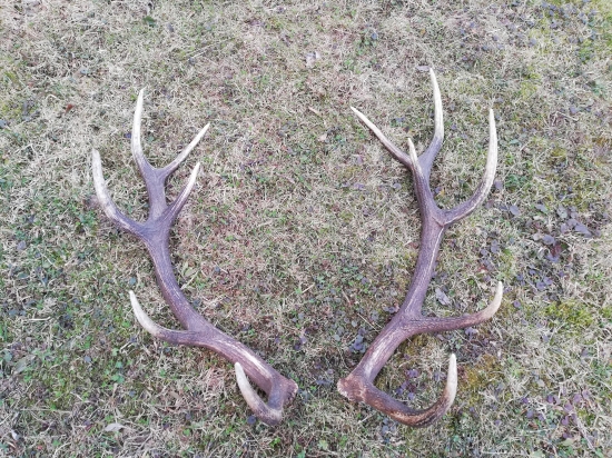 Uz su naspat spolu cca 2km od seba