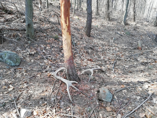 O 30m dalej bol druhy do paru