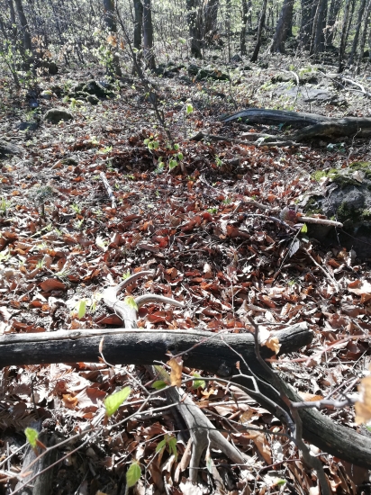 Minulorocny  - potesil