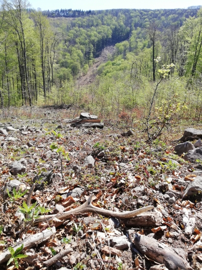 Sestoracik v kamennej strani