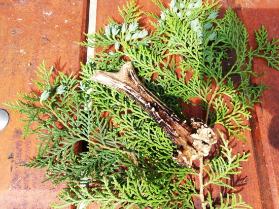 Posekany na poli na ceste