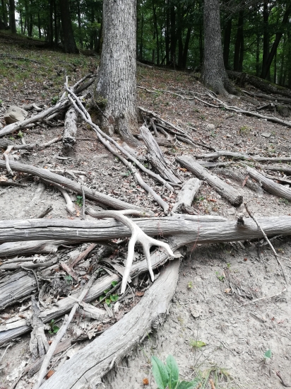 Tak ho pekne polozil