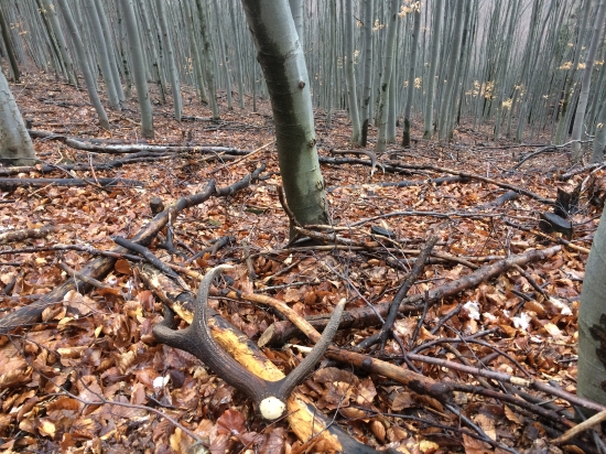 12-torak foto z minulého roka(para)