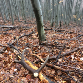 12-torak foto z minulého roka(para)