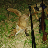 Kmotra „game over”