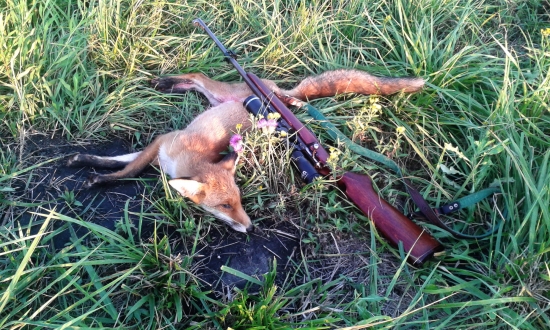 .22LR v službe