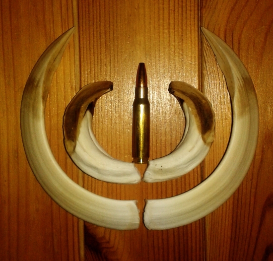 20 cm