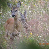 pěkná procházka přírodou