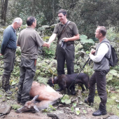Pekna momentka z pohara Liptova...