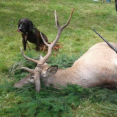 Ako to presne bolo viem len ja...