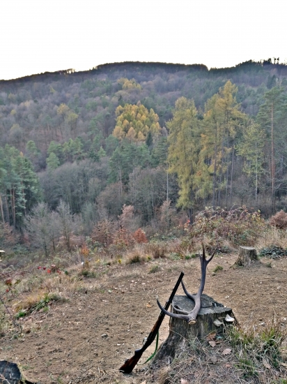 Piatková pochôdzka revírom