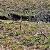 ...slovami neopísateľný pocit...