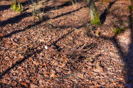 Najkrajší je prvý pohľad