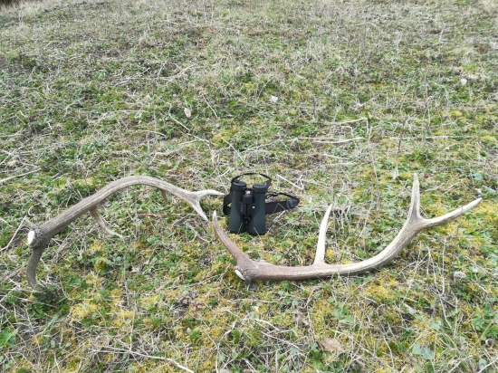 Dnešný nepravidelný 12toračik