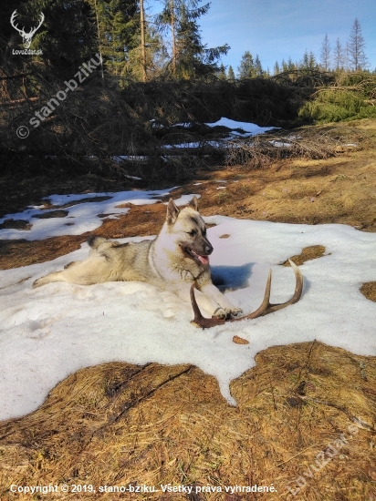 Unavený Casper