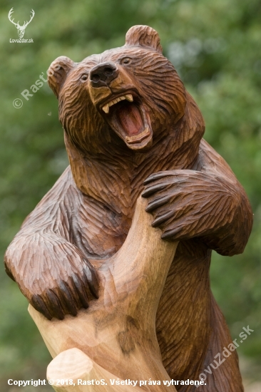 Nahnevaný maco.