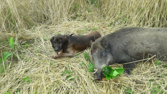 Nakoniec jednoduchá