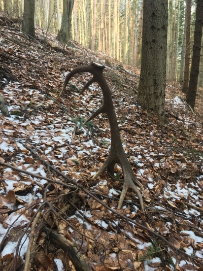 Tak ako som ho našiel ..