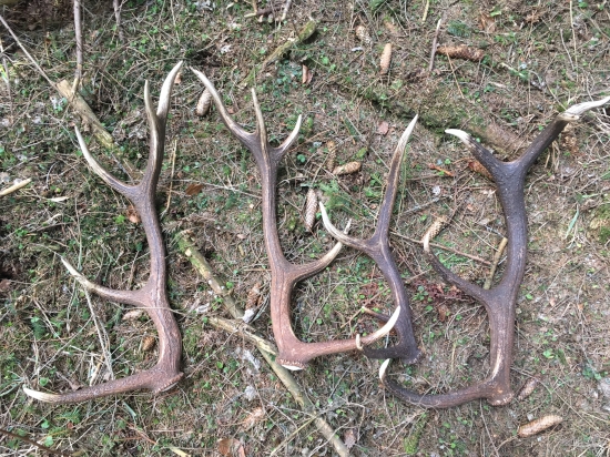 V správny čas na správnom mieste .