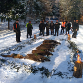 Dnešná úspešná hosťovská poľovačka