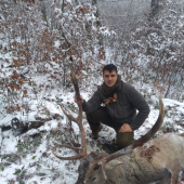 Predmikulášsky jeleň