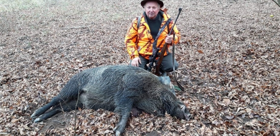 Otcov včerajší diviak.