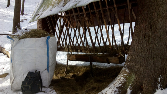 Nedeľné dopĺňanie