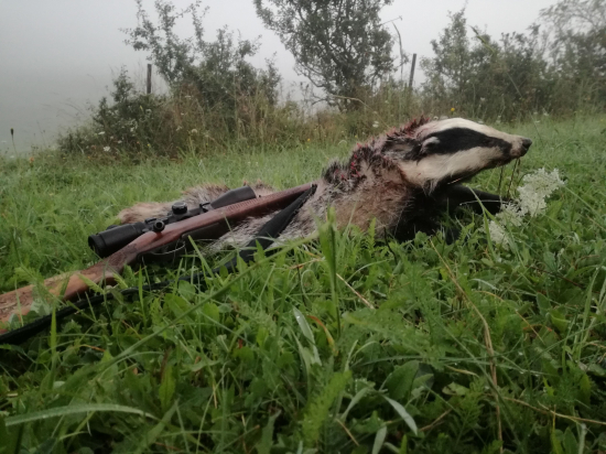 po piatich rokoch zas.