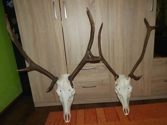 porovnanie šestorak 1.VT a šestorak 2.VT