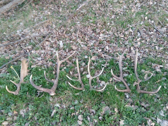 Jedno krásne ráno.