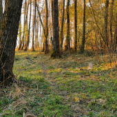 Strieborný západ