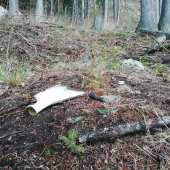 Moja prvá lopatka...