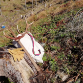 Pracovné zátišie...