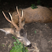 Môj prvý- nezabudnuteľný