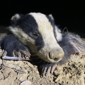 Prekvapenie včerajšieho večera