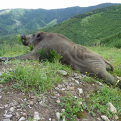 Posledný pohľad na svoju dolinu