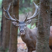 Čtrnácterák na pár metrů