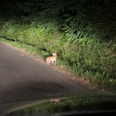 Boli tri malicke a matka