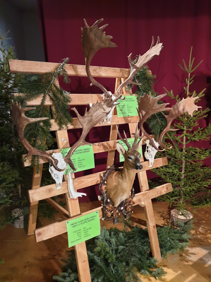 Najsilnejšie trofeje Kysuce