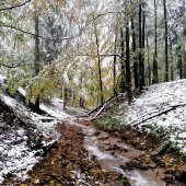 Jesenná idyla
