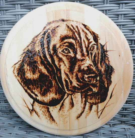 Vypaľovaný farbiar