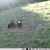 V prvých slnečných lúčoch