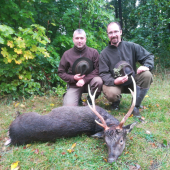 Jelen Sika od kamaráda