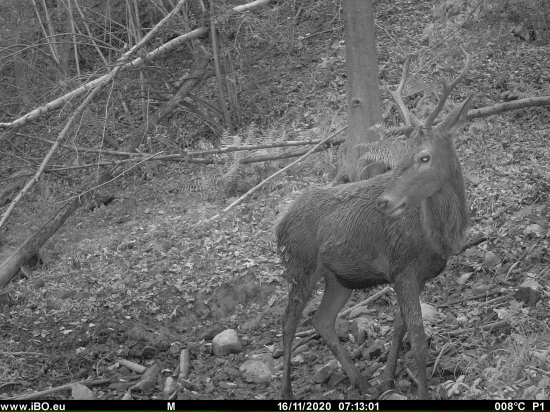 Raz budem kapitálny, len mi dajte 5 rokov šancu dovtedy sa budem iba skovávať