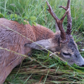 25 večerů,ale stálo to za  to!